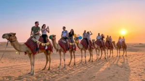 Group of friends enjoying a camel trek across the Dubai desert at sunrise, with golden sand dunes in the background.